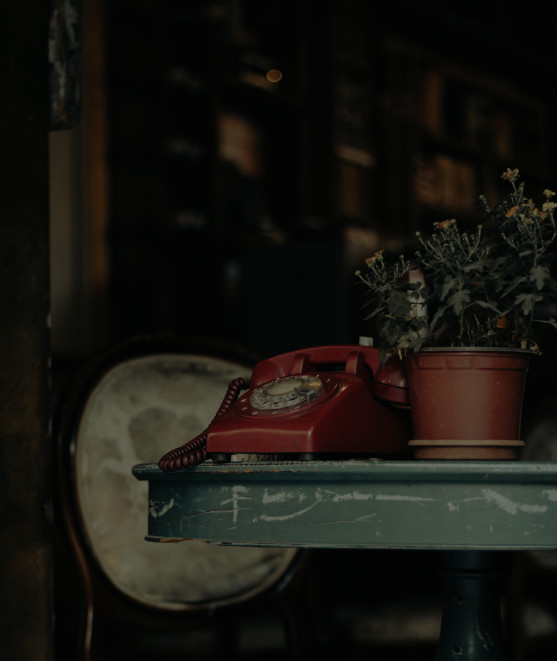 miresi_contact miresi contact