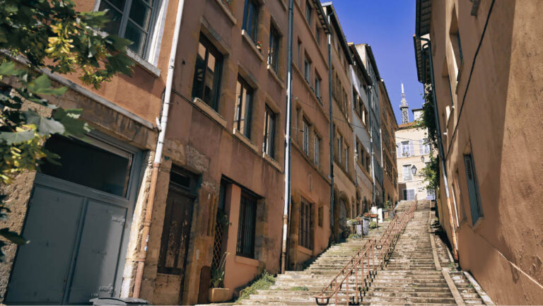 1726081297072 135df993 71ef 46d7 b0a0 9c53c4549d85 1